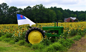 Bullard Farms