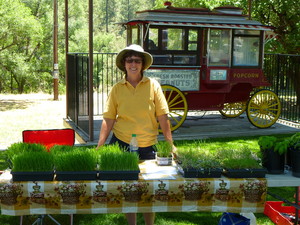 Mayhill Farmers and Crafters Market