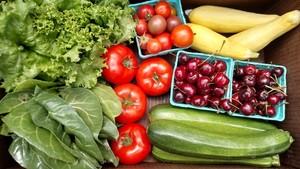 Sunscape Farms