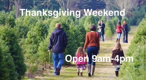 Beaverton Holiday U-Cut Christmas Tree Farm