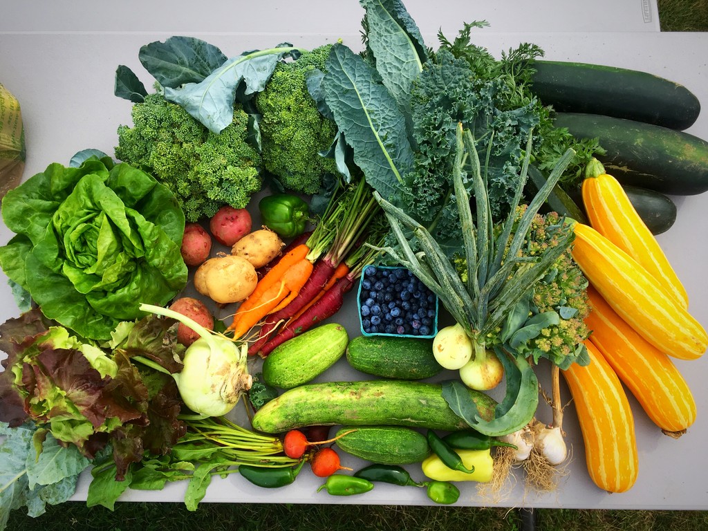 Wickham Farms