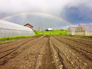 Three Hearts Farm