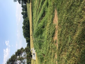 SD Farms