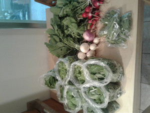Wabash View Farm