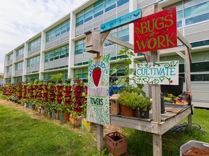 Cultivate the City