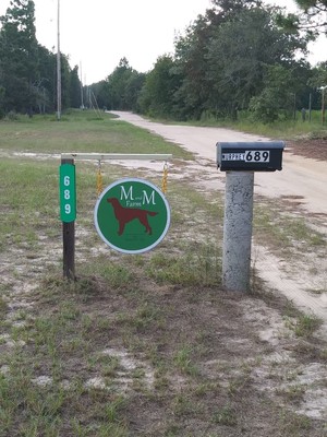 M and M Farm LLC