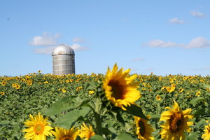 Bergefurds Farm Market and Greenhouses