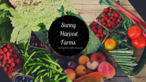 Sunny Harvest Farms LLC