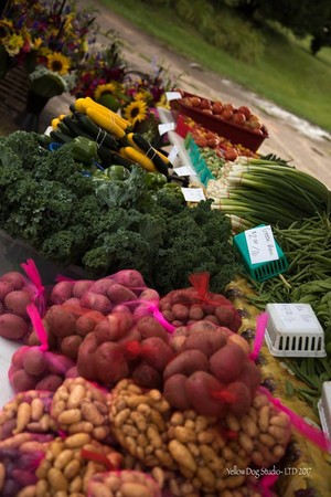Chippewa Falls Farmers Market