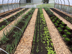 Floyds View Farm