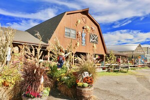 Heaven Hill Farm & Garden Center