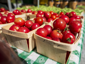 Austin Town Hall Farmers Market