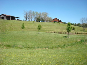 Cedar Ridge Farm