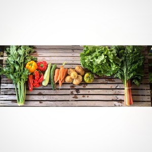 Cully Neighborhood Farm
