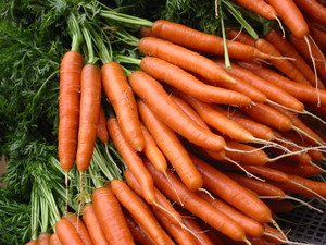 Oakhill Organics