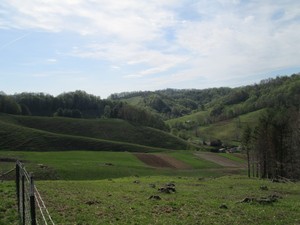 Creeksong Farm