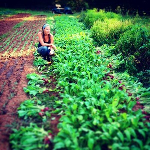 PTB Farm