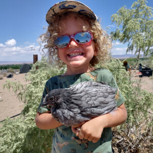 Bomvida Farms