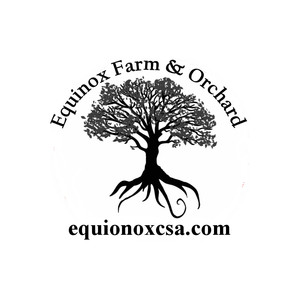 Equinox CSA