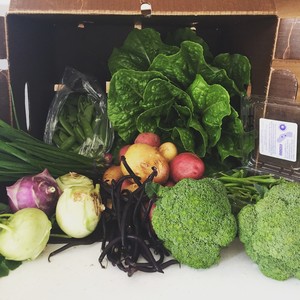 Valley Pasture Farm