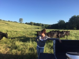 Savage Hill Cattle Co