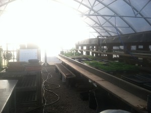 Greenway Farm