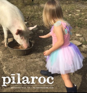 Pilaroc Farms