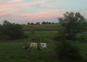 Farmlandia