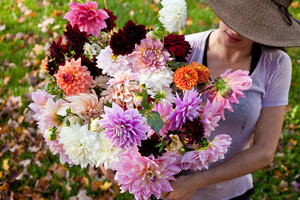 Art Farm Flowers