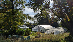 Bay Branch Farm