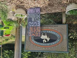 Stony Ridge Farm