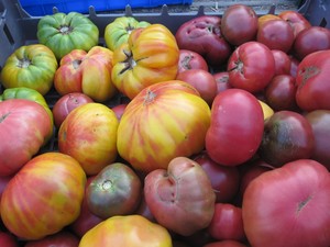 Blackberry Meadows Farm CSA