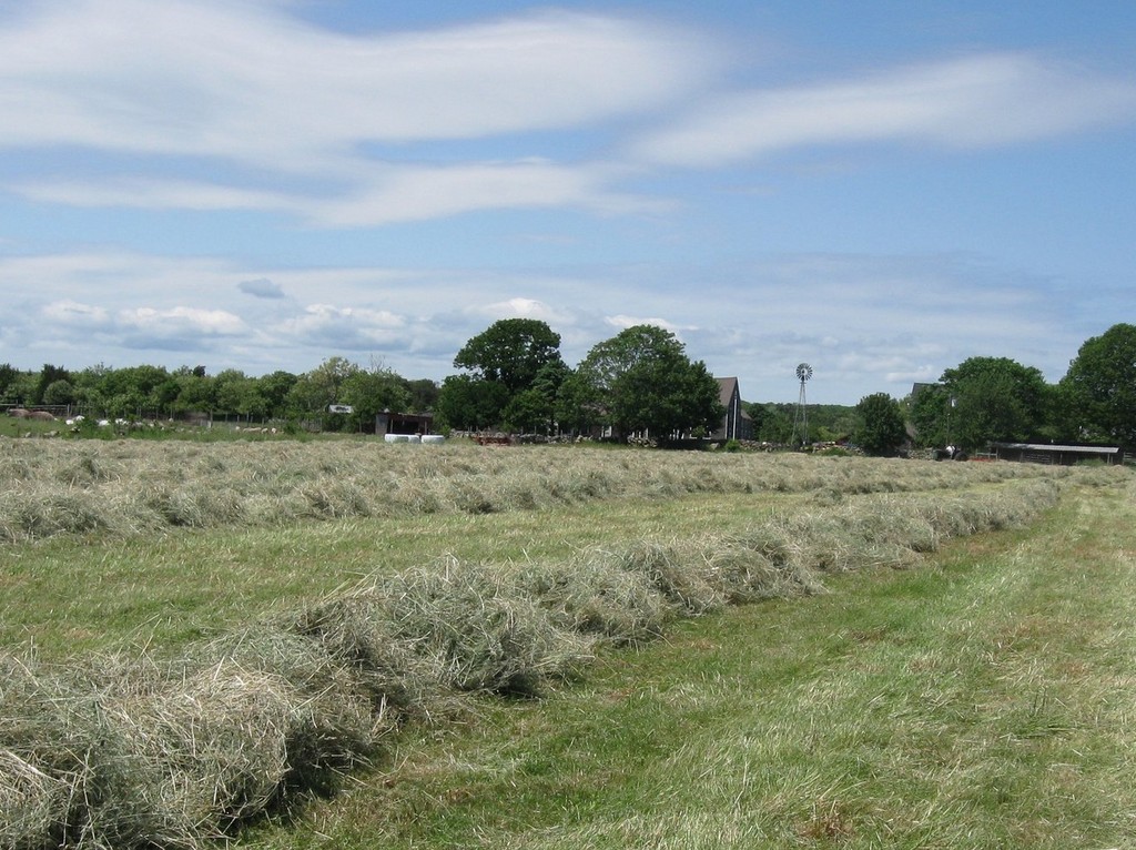 Browning Homestead Farm LocalHarvest   40478 