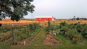 GI Acres
