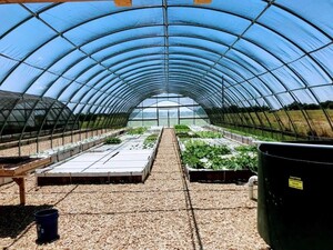 Storehouse Gardens