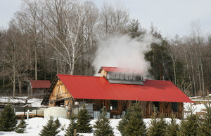 Justamere Tree Farm