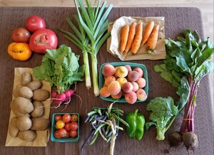 Bountiful Beloit