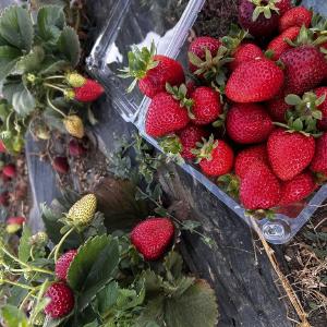 Tru2Earth Farm