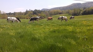 Robie Farm