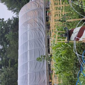 McBeezy Acres Fruit Farm