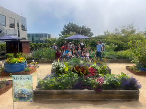 Good Neighbor Gardens