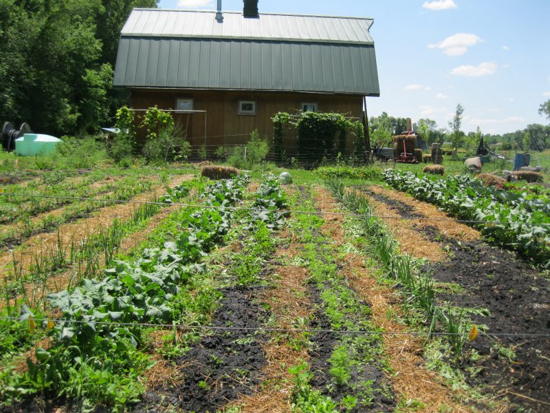 Farm Photos - LocalHarvest