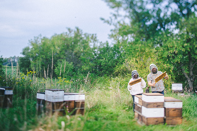 Bulk Beeswax  Hudsonville Honey