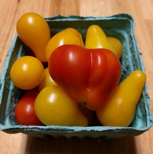 Doe River Aquaponics