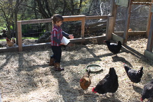 Horn Mountain Ranch