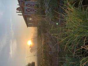 Willow and Crow Homestead