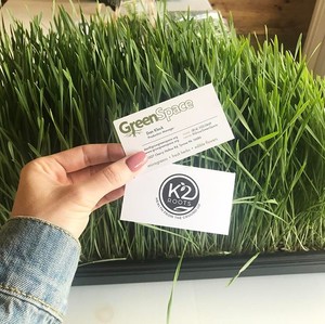 GreenSpace Microgreens