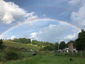 Grassroots Farm & Dairy