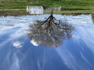 Barbell Farm