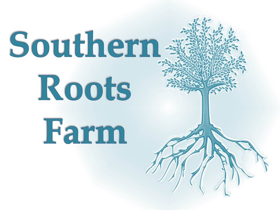 About Us - Our Southern Roots